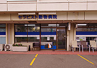 セラピスト動物病院