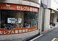 セレブル動物病院