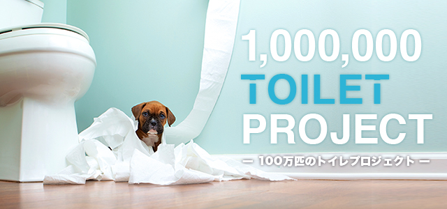 100万匹のトイレプロジェクト｜アニマルプラザ 犬のようちえん(R)